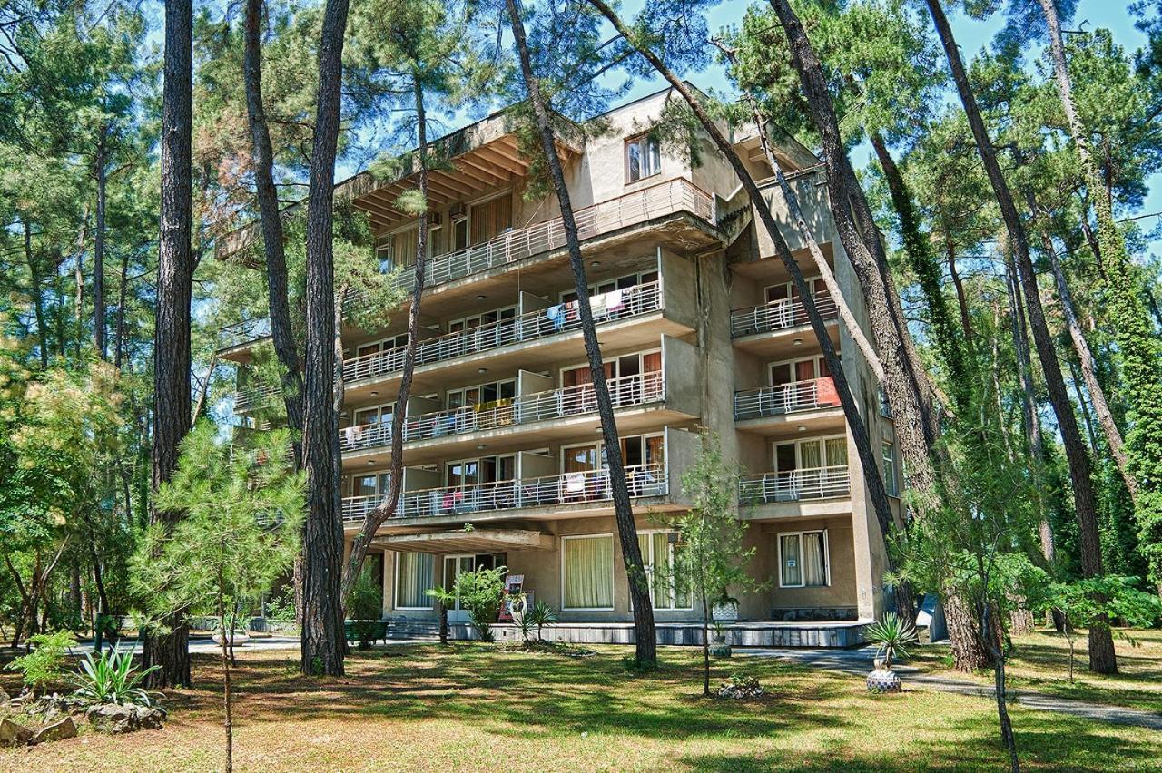 Gosdacha Ldzaa Hotel Lidzava Ngoại thất bức ảnh